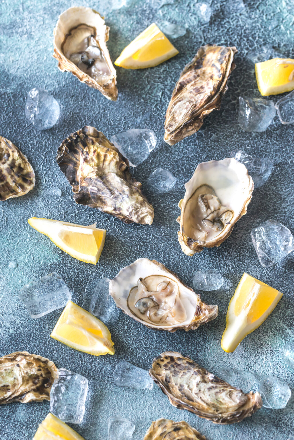 Raw oysters on the gray background